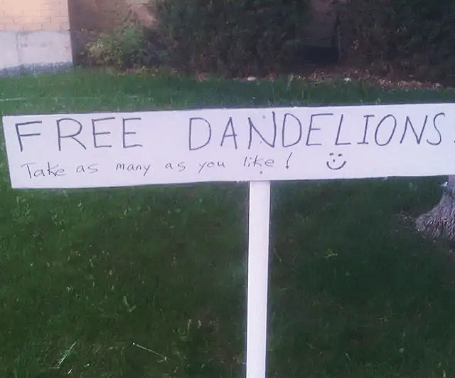 free dandelions sign